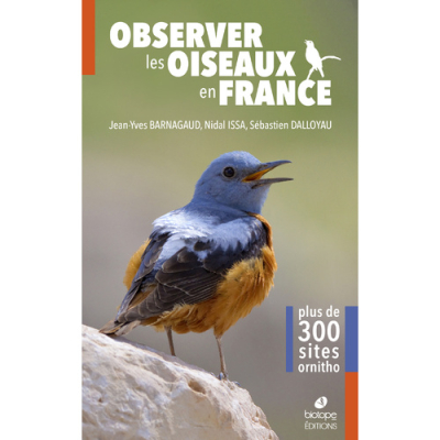 Observer les oiseaux en France