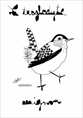 Carte collection d'art Troglodyte mignon - Marion Domanski