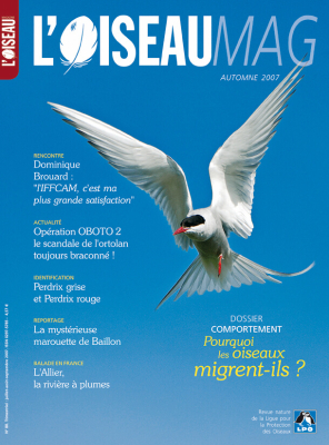 L'Oiseau Mag n° 88