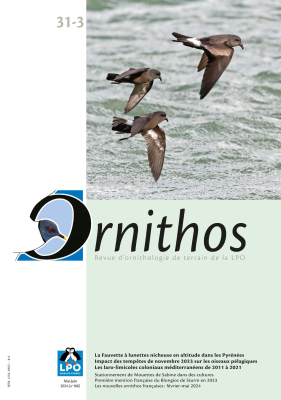 Ornithos N°31/3, Mai-Juin 2024