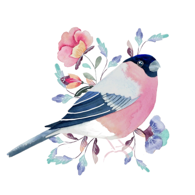 Mug LPO Bouvreuil pivoine