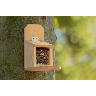 Kit Mangeoire Écureuil Capucine