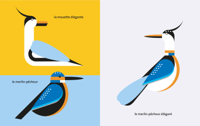 Oiseau + Oiseau, La mathématique des oiseaux