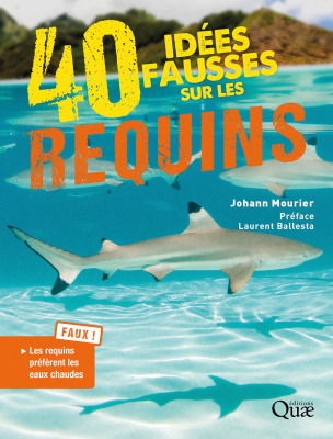 40 idées fausses sur les requins