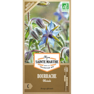 Graines Bio Bourrache officinale