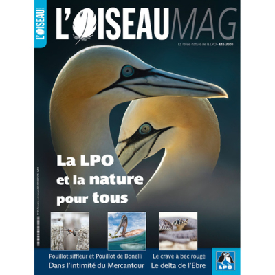 L'Oiseau Mag n° 139