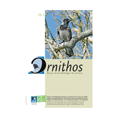 Ornithos N°19/1, Janvier-Février 2012