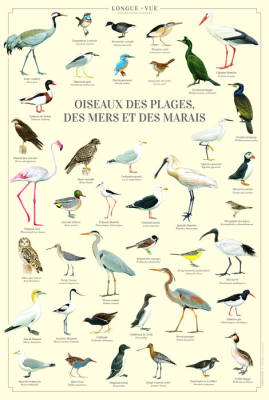 Affiche 40 x 60 cm - Oiseaux des plages, des mers et des marais