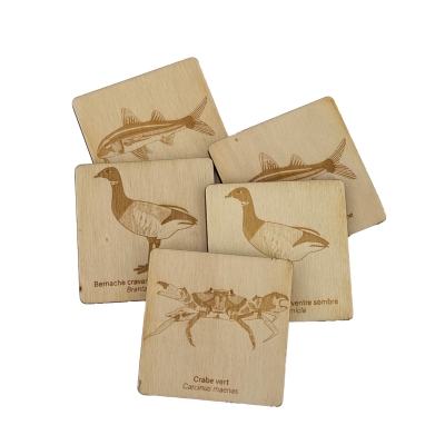 Memory Faune et flore du littoral français