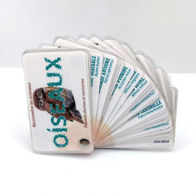 Guide de reconnaissance de la faune et de la flore - Les rapaces