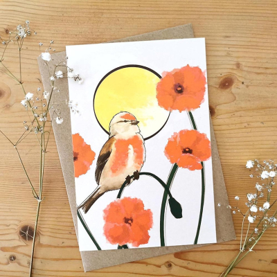 Carte postale Linotte mélodieuse