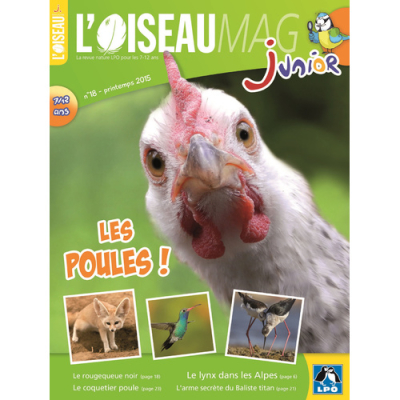 L'Oiseau Magazine Junior n°18
