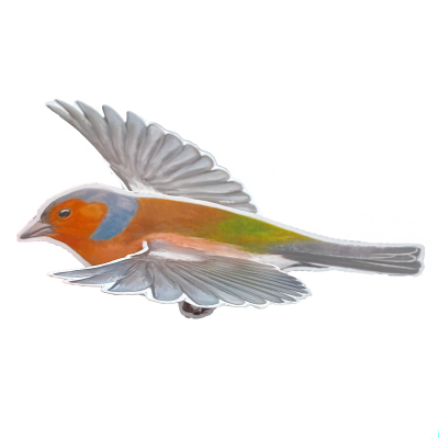 Lot de 4 mobiles Oiseaux n°2 - LPO x CPN