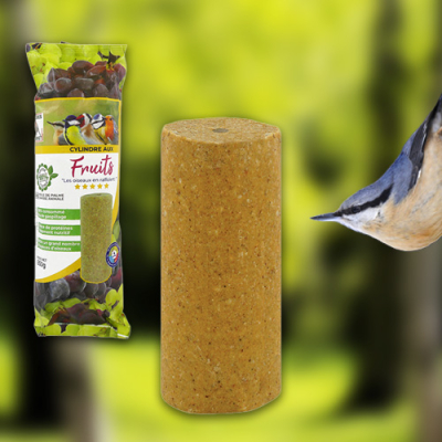 Cylindre géant aux fruits 