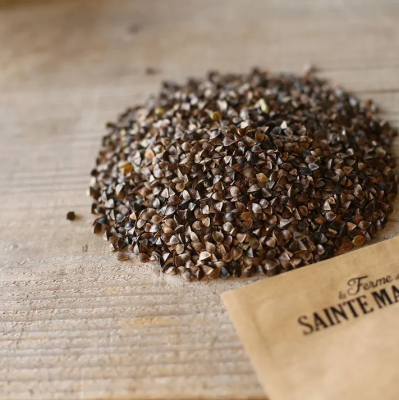 Graines Bio Engrais vert - Sarrasin Vivace 30 m²