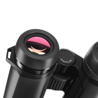 Jumelles Zeiss SFL 8x40 + Harnais de portage