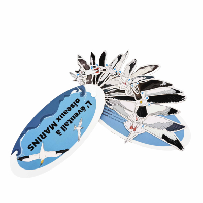 Éventail pédagogique LPO - Identifier les oiseaux marins