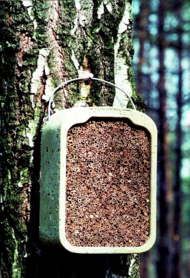Ruche à insectes Schwegler en roseau