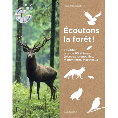 Ecoutons la forêt !