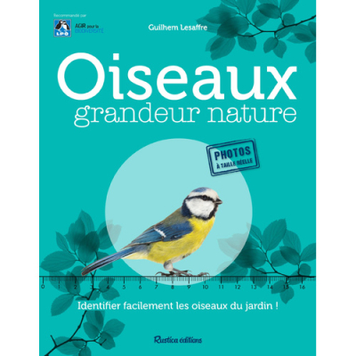 Oiseaux grandeur nature