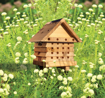 Ruche à abeilles interactive
