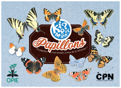 Kiquimank ? Papillons