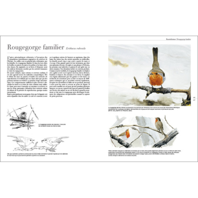 Le comportement des oiseaux d'Europe