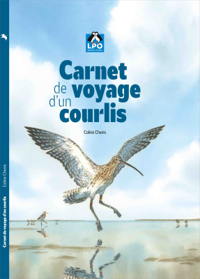 BD Carnet de voyage d'un Courlis