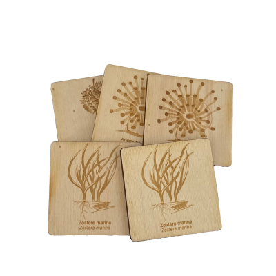 Memory Faune et flore du littoral français