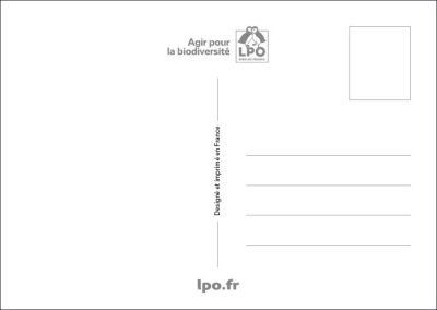 Carte postale LPO vintage Macareux