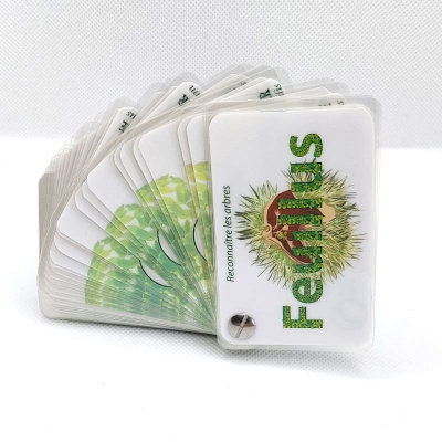 Guide de reconnaissance de la faune et de la flore - Les arbres