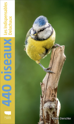 440 Oiseaux
