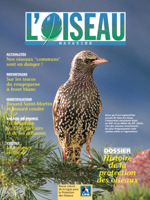 L'Oiseau Mag n° 67
