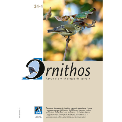 Ornithos N°24/4, Juillet-Août 2017