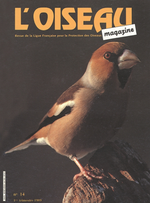 L'Oiseau Mag n° 14