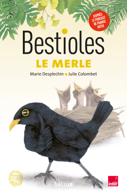 Bestioles, Le Merle