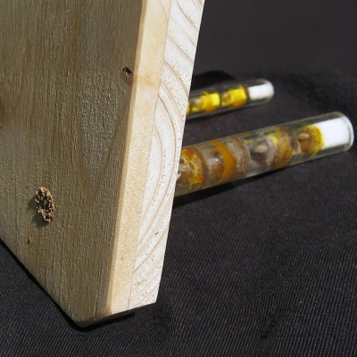 Ruche à insectes encastrable Schwegler avec porte amovible