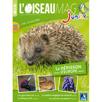 L'Oiseau Magazine Junior n°38