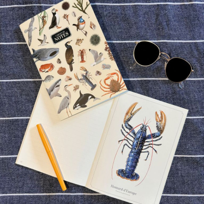 Carnet de notes A5 - Échos marins