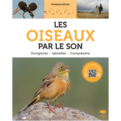 Les oiseaux par le son