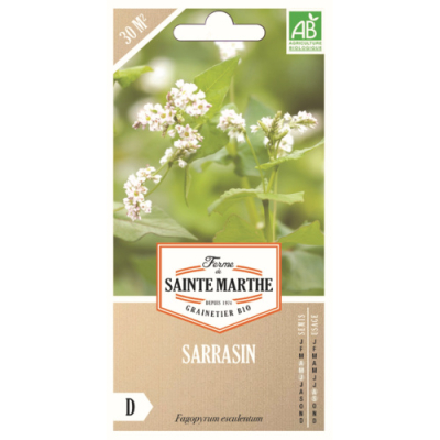 Graines bio engrais vert, Sarrasin vivace 30m²