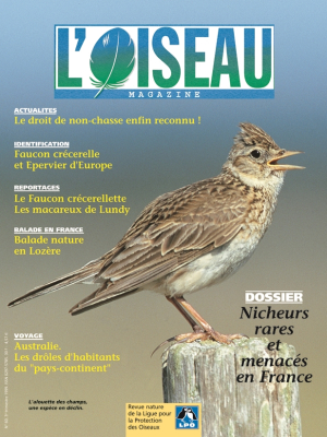 L'Oiseau Mag n° 60