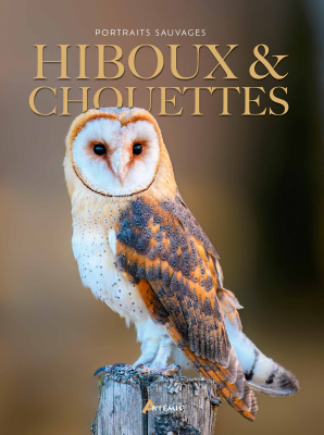 Hiboux & Chouettes, portraits sauvages, Nouvelle édition