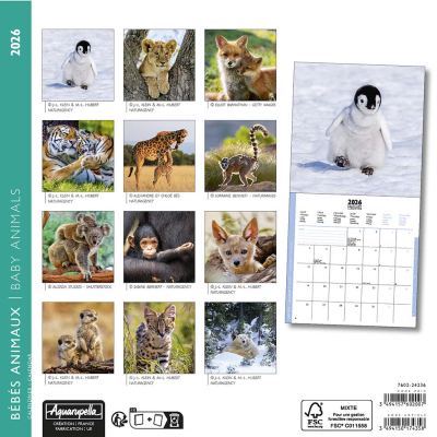 Calendrier 2026 Bébés animaux 16,5 x 16,5 cm