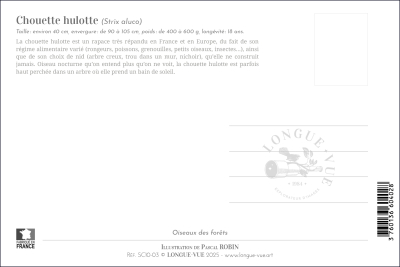 Carte Postale simple 10 X 15 cm Chouette Hulotte
