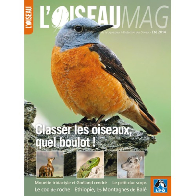 L'Oiseau Mag n°115