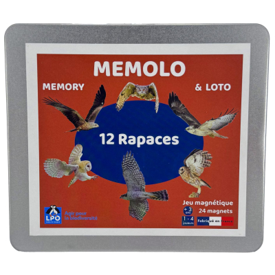 Memolo XL - 12 Rapaces