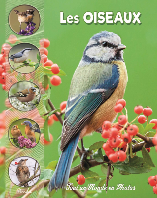 Tout un monde en photos : Les oiseaux des parcs et jardins