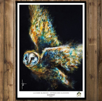 Affiche La Dame Blanche - Effraie des clochers