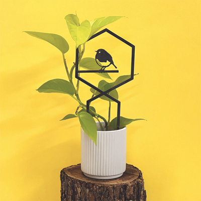 Treillis pour plante Rougegorge